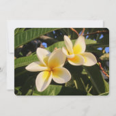 Plumeria Feestdagenkaart (Voorkant)