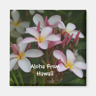 Plumeria Flower Magneet