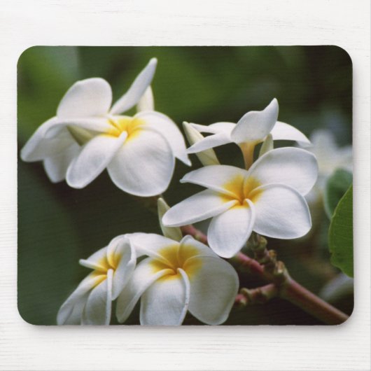 Plumeria Flower Muismat (Voorkant)