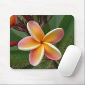 Plumeria Flower Oahu Hawaii Muismat (Met muis)