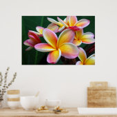 Plumeria Flower op Canvas! Poster (Keuken)