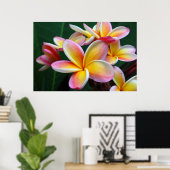 Plumeria Flower op Canvas! Poster (Thuiskantoor)