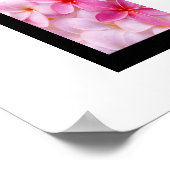 Plumeria Flower Poster (Hoek)