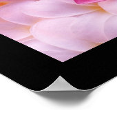 Plumeria Flower Poster (Hoek)