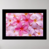 Plumeria Flower Poster (Voorkant)