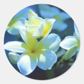 plumeria flower ronde sticker (Voorkant)