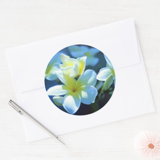 plumeria flower ronde sticker (Envelop)