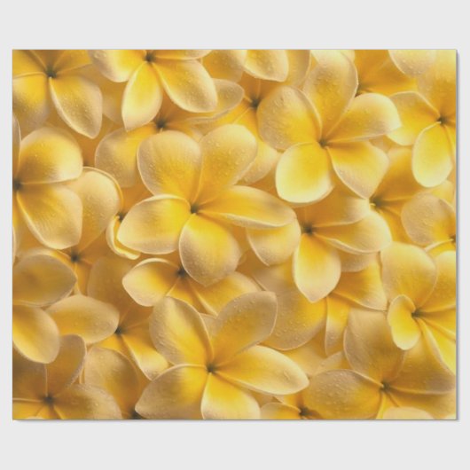 Plumeria Flower Yellow Cadeaupapier (Vlak)