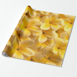Plumeria Flower Yellow Cadeaupapier