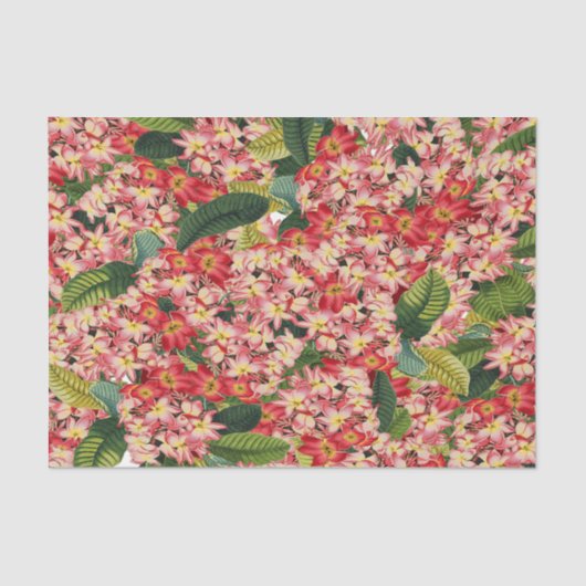 Plumeria Flowers Floral Tropical Tissue Paper Tissuepapier (Voorkant)