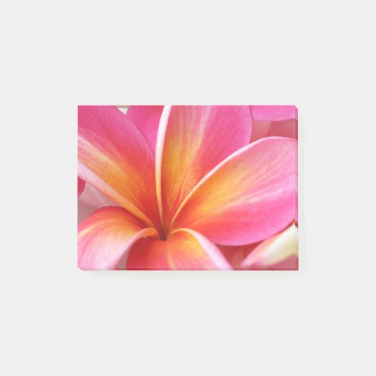Plumeria Flowers Hawaiian Frangipani Floral Flower Post-it® Notes (Voorkant)