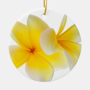 Plumeria Flowers Hawaiian White Yellow Frangipani Keramisch Ornament
