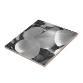 Plumeria Flowers in Black en White Tegeltje (Zijkant)