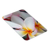 Plumeria Flowers Magnet Magneet (Rechterzijde)