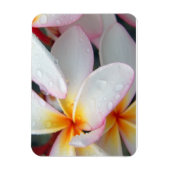 Plumeria Flowers Magnet Magneet (Verticaal)