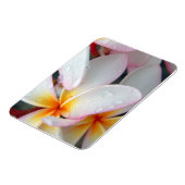 Plumeria Flowers Magnet Magneet (Linkerzijde)