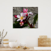 Plumeria Flowers Print (Keuken)