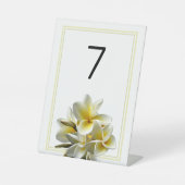 Plumeria Flowers Weddenschap Reclamebord Met Voetstuk (Voorkant)