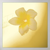 plumeria folie afdrukken (Voorkant)