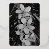 plumeria folie uitnodiging (Achterkant)