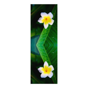 plumeria foto afdruk