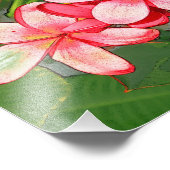 plumeria foto afdruk (Hoek)