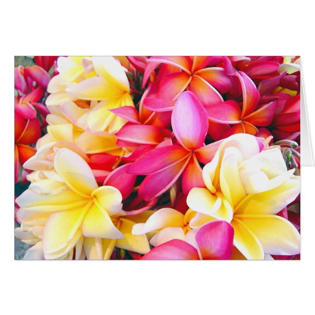 Plumeria Frangipani Floral Photo Digital Painting (Voorkant Horizontaal)