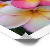 Plumeria Frangipani Flowers Waterverf Sketch Poster (Hoek)