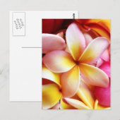 Plumeria Frangipani Hawaii Flower Gepersonaliseerd Briefkaart (Voorkant / Achterkant)