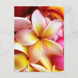 Plumeria Frangipani Hawaii Flower Gepersonaliseerd Briefkaart