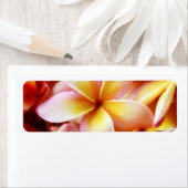 Plumeria Frangipani Hawaii Flower Gepersonaliseerd Etiket (Insitu)