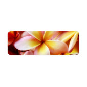 Plumeria Frangipani Hawaii Flower Gepersonaliseerd Etiket (Voorkant)