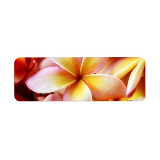 Plumeria Frangipani Hawaii Flower Gepersonaliseerd Etiket (Voorkant)