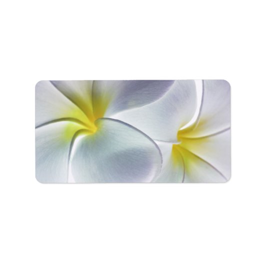 Plumeria Frangipani Hawaii Flower Gepersonaliseerd Etiket (Voorkant)