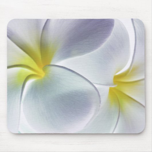 Plumeria Frangipani Hawaii Flower Gepersonaliseerd Muismat (Voorkant)