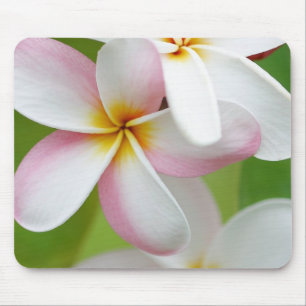 Plumeria Frangipani Hawaii Flower Gepersonaliseerd Muismat