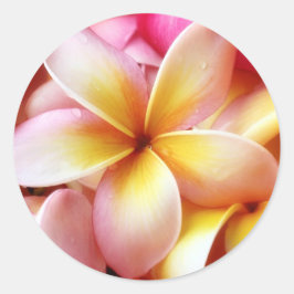 Plumeria Frangipani Hawaii Flower Gepersonaliseerd Ronde Sticker