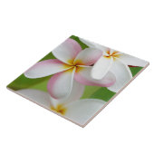 Plumeria Frangipani Hawaii Flower Gepersonaliseerd Tegeltje (Zijkant)