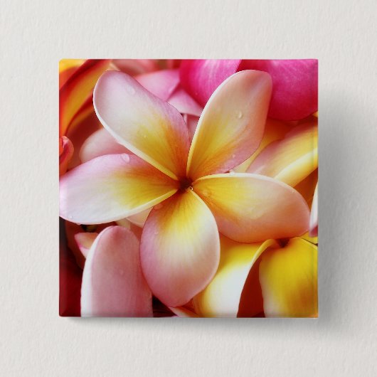 Plumeria Frangipani Hawaii Flower Gepersonaliseerd Vierkante Button 5,1 Cm (Voorkant)