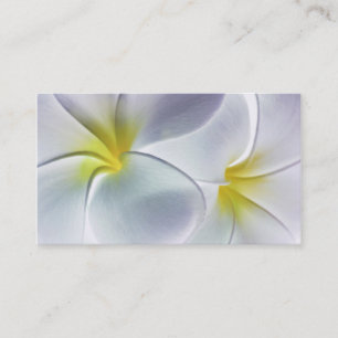 Plumeria Frangipani Hawaii Flower Gepersonaliseerd Visitekaartje