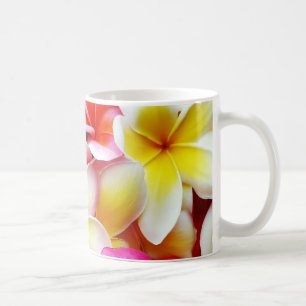 Plumeria Frangipani Hawaii Flower Hawaiian Flowers Koffiemok