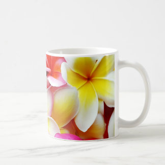 Plumeria Frangipani Hawaii Flower Hawaiian Flowers Koffiemok