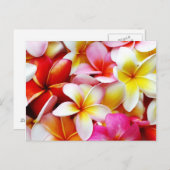 Plumeria Frangipani Hawaii Gepersonaliseerd Briefkaart (Voorkant / Achterkant)