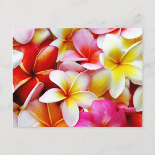 Plumeria Frangipani Hawaii Gepersonaliseerd Briefkaart