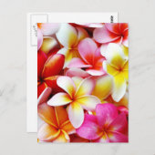 Plumeria Frangipani Hawaii Gepersonaliseerd Briefkaart (Voorkant / Achterkant)