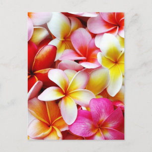 Plumeria Frangipani Hawaii Gepersonaliseerd Briefkaart