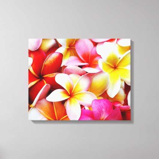 Plumeria Frangipani Hawaii Gepersonaliseerd Canvas Afdruk (Voorkant)