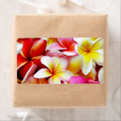 Plumeria Frangipani Hawaii Gepersonaliseerd Etiket (Insitu)