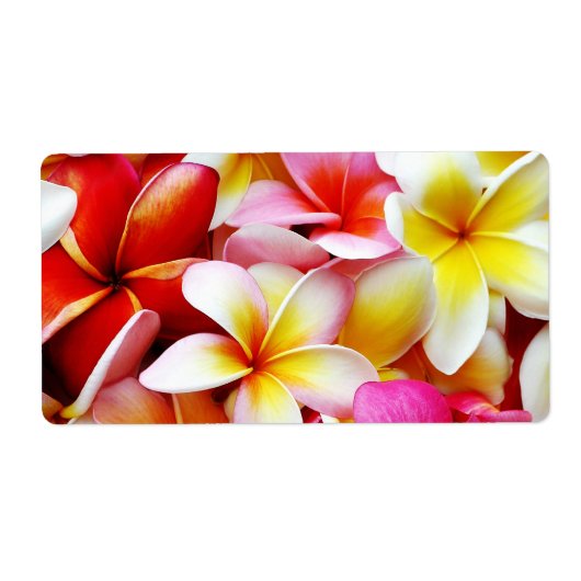 Plumeria Frangipani Hawaii Gepersonaliseerd Etiket (Voorkant)