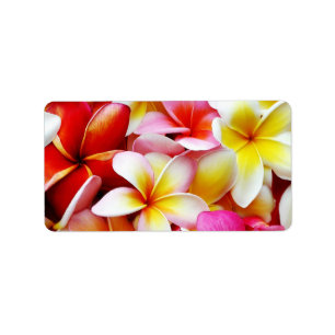 Plumeria Frangipani Hawaii Gepersonaliseerd Etiket